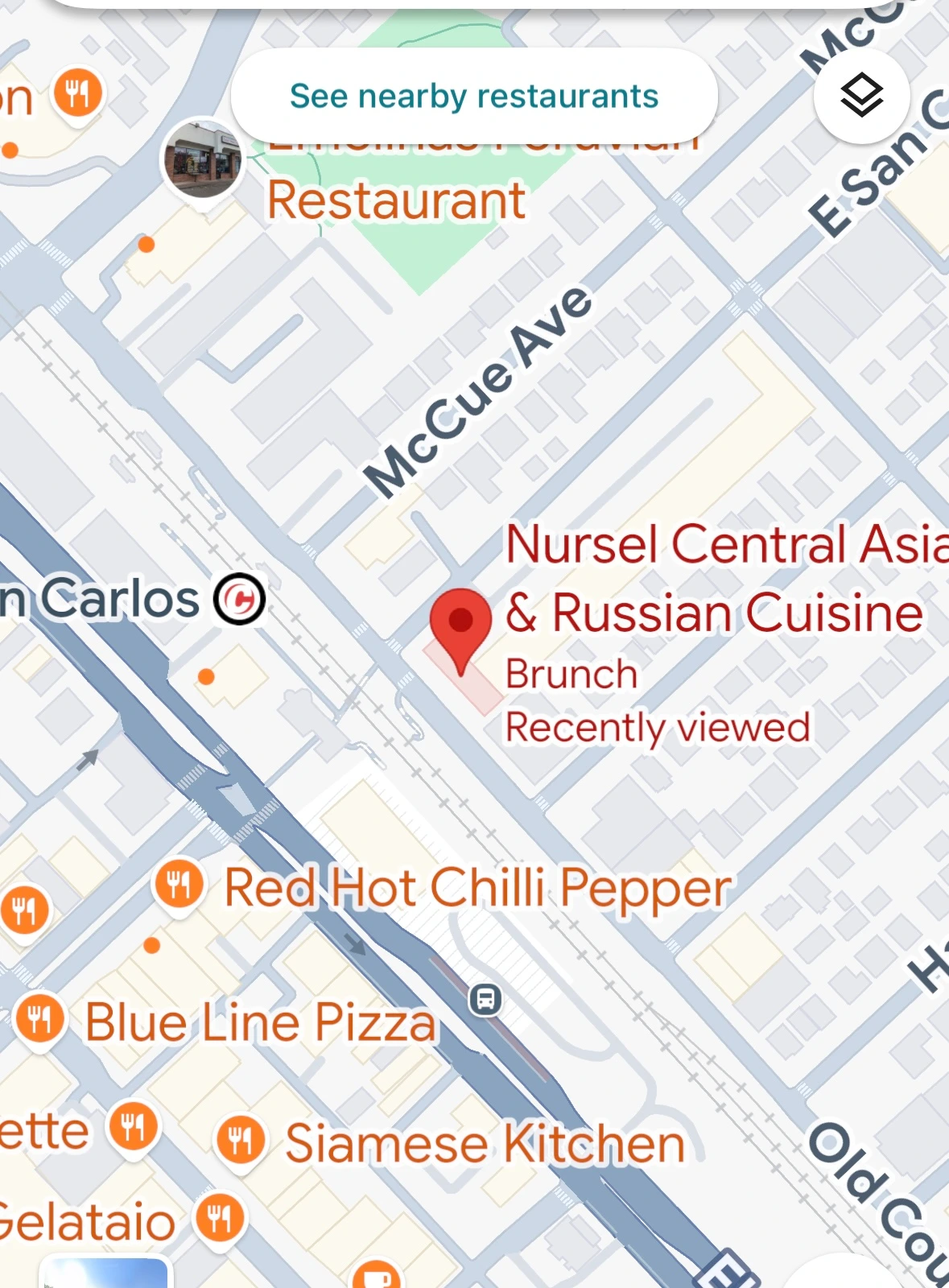 Nursel Central Asian & Russian Cuisine